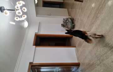 4 bhk for Rent in Prime building in JVPD Juhu Scheme 2880 sq ft Built up area