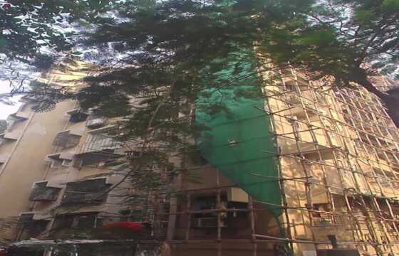 1 BHK Pre Redevelopment Apartment of 426 sq.ft. Carpet Area at Padmavati Apartment, Lokhandwala Market, Andheri West.
